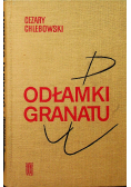 Odłamki granatu