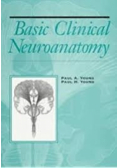 Basic Clinical Neuroanatomy