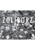 Żoliborz w fotografii Andrzeja Jastrzembskiego