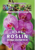 Atlas roślin doniczkowych 200 gatunków