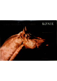 Konie
