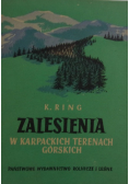 Zalesienia w Karpackich terenach górskich
