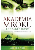 Akademia Mroku Rozdarte dusze