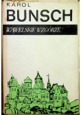 Wawelskie wzgórze