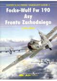 Focke Wulf Fw 190 Asy Frontu Zachodniego