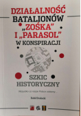 Działalność batalionów Zośka i Parasol w konspiracji