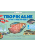 Tropikalne ryby słodkowodne