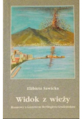 Widok z wieży
