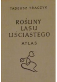 Rośliny lasu liściastego atlas