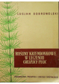 Rośliny krzemionkowe w leczeniu gruźlicy płuc