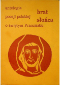 Brat słońca