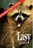 Lasy Iglaste
