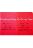 Obraz literatury Polskiej Literatura Polska w okresie międzywojennym tom III i IV