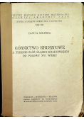 Górnictwo Kruszcowe Na Terenie Złóż Śląsko krakowskich Do Połowy XVI Wieku
