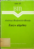 Zarys algebry