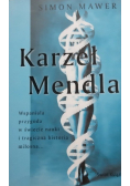 Karzeł mendla
