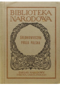 Średniowieczna proza polska