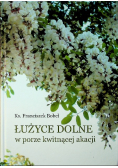 Łużyce dolne w porze kwitnącej akacji