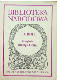 Cierpienie młodego Wertera