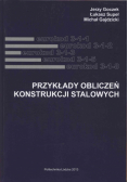 Przykłady obliczeń konstrukcji stalowych