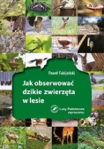 Jak obserwować dzikie zwierzęta w lesie