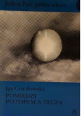 Pomiędzy potopem a tęczą nr 8