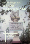 Wśród trędowatych