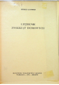 Uzębienie zwierząt domowych