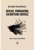 Wielkie pobrudzone zachwycone zwierzę