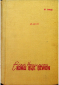 Komu bije dzwon