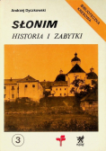 Słonim Historia i zabytki 3