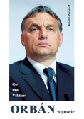 Co ma Viktor Orban w głowie