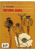 Uprawa maku