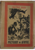Przygody w Afryce