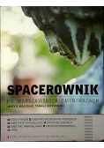 Spacerownik po warszawskich cmentarzach