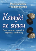 Kamyki ze stawu