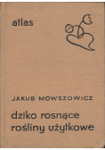 Atlas dziko rosnące rośliny użytkowe