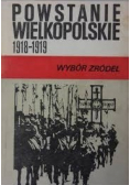Powstanie wielkopolskie 1918-1919 wybór źródeł