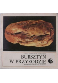 Bursztyn w przyrodzie Przewodnik i katalog wystawy