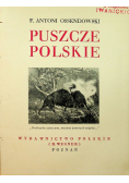 Puszcze polskie 1936 r
