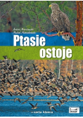 Ptasie ostoje