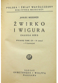 Żwirko i Wigura 1938 r