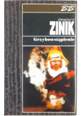 Grzybowstąpienie