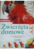 Malujemy akwarelą Zwierzęta domowe