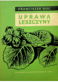 Uprawa leszczyny