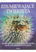 Zdumiewające zwierzęta