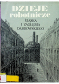 Dzieje Robotnicze Śląska I Zagłębia Dąbrowskiego