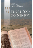 W drodze do Niniwy