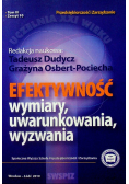 Efektywność Wymiary uwarunkowania wyzwania