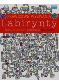 Prawdziwe wyzwania Labirynty